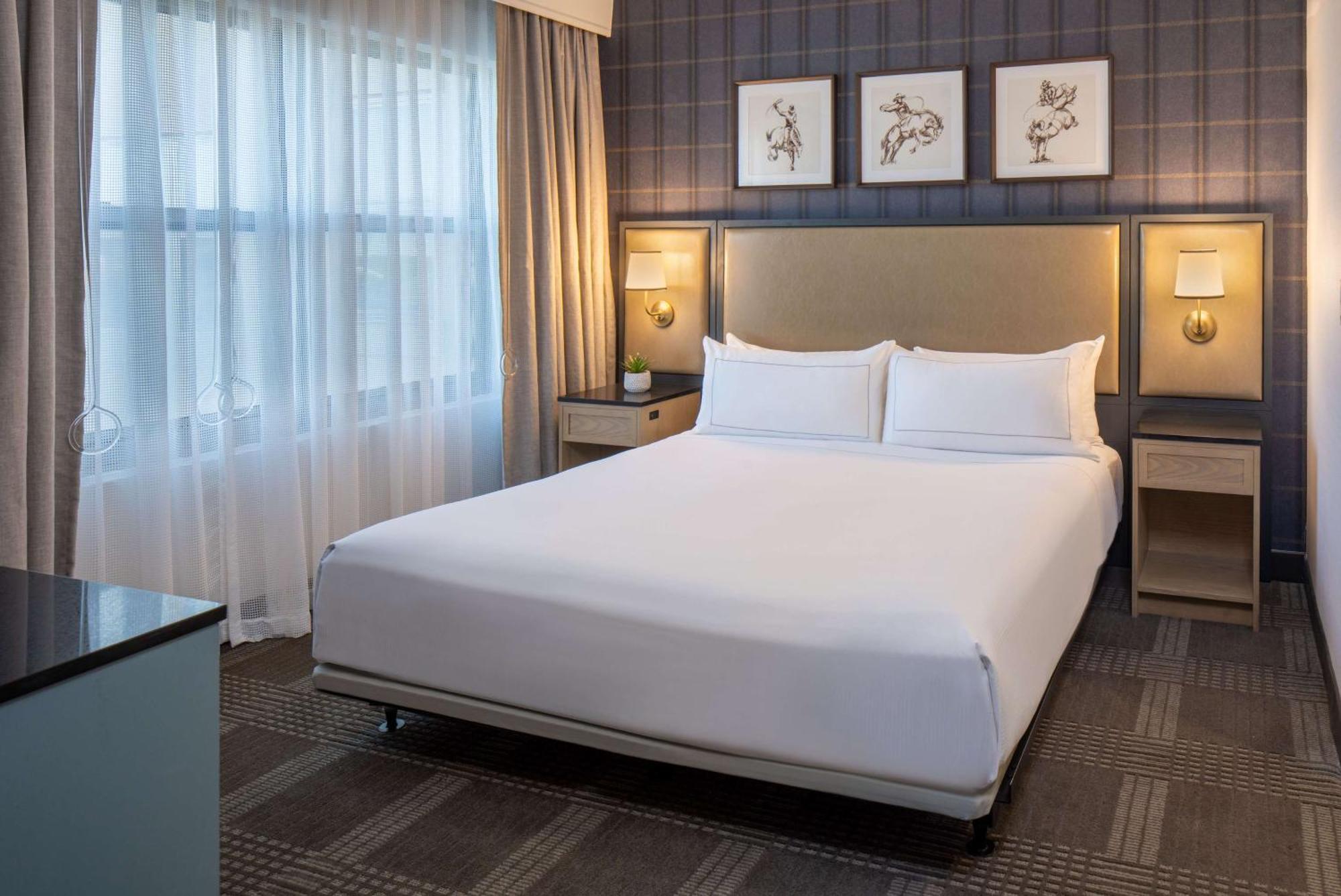 מלון Hilton San Antonio Hill Country מראה חיצוני תמונה